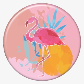 Tag Do Flamingo Png, Transparent Png, Transparent PNG
