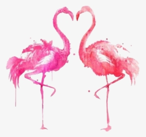 Flamingo Png Picture - Flamingos Png, Transparent Png, Transparent PNG