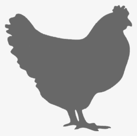Roast Chicken Fried Chicken Rooster Image - Vector Chicken Silhouette Png, Transparent Png, Transparent PNG