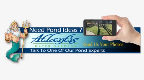 Picture - Pond, HD Png Download, Transparent PNG