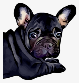 French Bulldog, Dog, Puppy, Baby, Bulldog, Black, Cute - Baby Black French Bull Dogs, HD Png Download, Transparent PNG