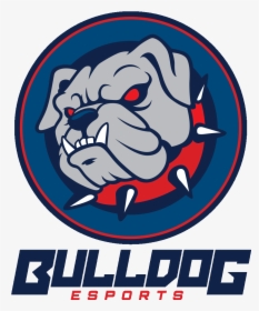 Bulldog Esportslogo Square - Bulldog Esports, HD Png Download, Transparent PNG