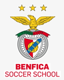Img-logo - Benfica Soccer School Washington Dc Logo, HD Png Download, Transparent PNG