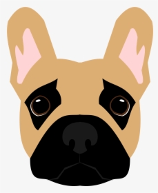 Paw Licking And Chewing In The French Bulldog - French Bulldog, HD Png Download, Transparent PNG