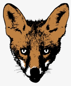 Clip Art File Drawing Svg Wikimedia - Fox Face Drawing, HD Png Download, Transparent PNG