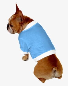 Clip Art Boxer French Bulldog - Bulldog, HD Png Download, Transparent PNG