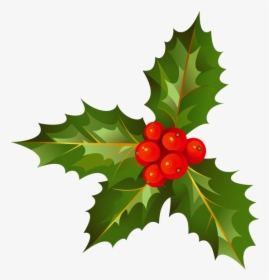 Transparent Holly Png - Christmas Leave Png, Png Download, Transparent PNG