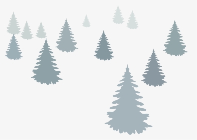 Christmas Tree Fir Illustration - Christmas Tree, HD Png Download, Transparent PNG