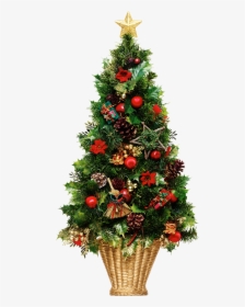 Christmas Tree Png - Very Many Christmas Cluster Frames, Transparent Png, Transparent PNG