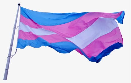 Npp National Progress Party Flag 11 - Waving Transgender Flag Gif, HD Png Download, Transparent PNG