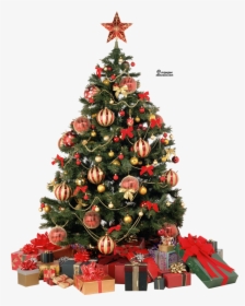 Merry Christmas Tree Png, Transparent Png, Transparent PNG