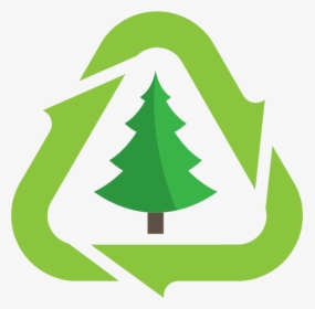 Christmas Tree Recycling, HD Png Download, Transparent PNG