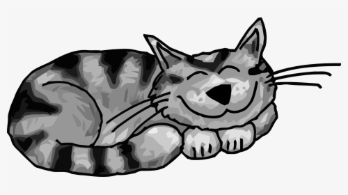 Cat Clipart Funny - Tabby Cat Cartoon Drawing, HD Png Download, Transparent PNG