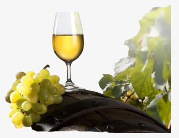 Wine Png Image - Grapes And Wine Png, Transparent Png, Transparent PNG