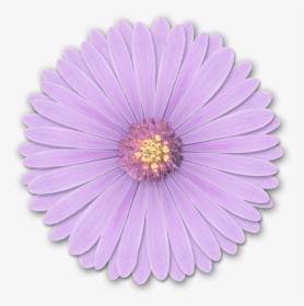Res Light Purple Flowers Png By Hanabell1 D6l6mwr Png - Flower Png For Edits, Transparent Png, Transparent PNG