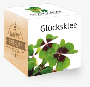 Geburtstag Happy Birthday To You Feel Green We Create - Kleine Weihnachtsgeschenke, HD Png Download, Transparent PNG