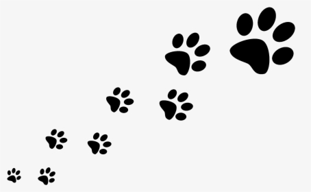 Dog Walking Pet Sitting Cat - Trail Of Paw Prints, HD Png Download, Transparent PNG