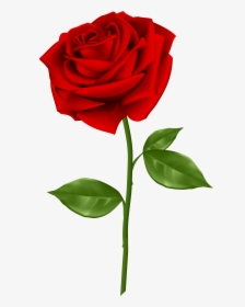 Clipart Flower Beautiful - Red Rose Transparent Png, Png Download, Transparent PNG