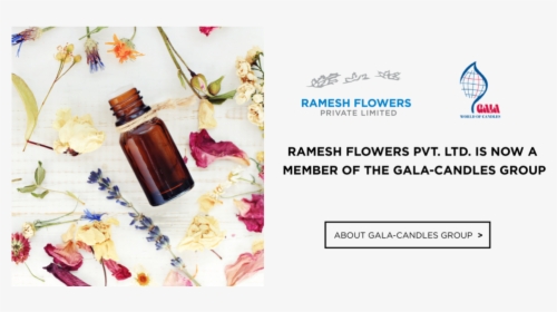 Guldasta Flowers Png - Ramesh Flower Pvt Ltd, Transparent Png, Transparent PNG