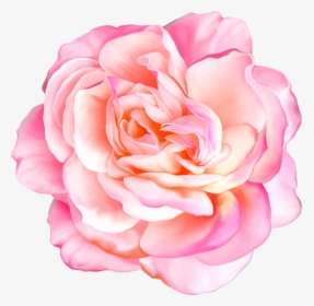 Png Клипарт Beautiful Flowers - Realistic Flowers, Transparent Png, Transparent PNG