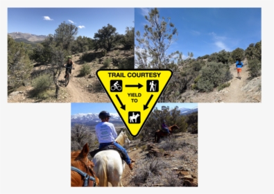 Trail Courtesy - Stallion, HD Png Download, Transparent PNG