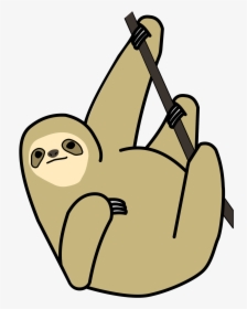 Baby Sloth Png - Clipart Sloth Transparent Background, Png Download, Transparent PNG
