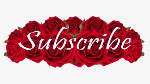 Currently There Is No Subscribe Button, But For Now, - Indian Herbal, HD Png Download, Transparent PNG