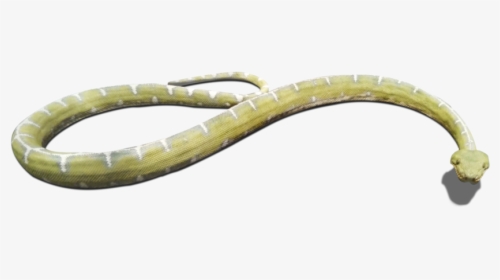 Download And Use Snake Png Clipart - Grass Snake, Transparent Png, Transparent PNG