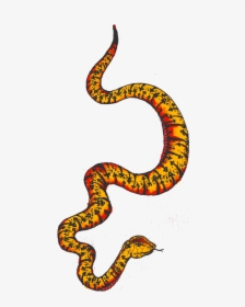 Colourful Snake Png Clipart , Png Download - Python, Transparent Png, Transparent PNG