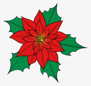How To Draw Poinsettia - Poinsettia Cartoon, HD Png Download, Transparent PNG