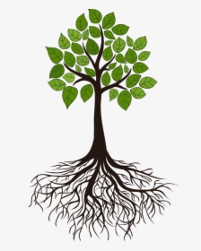 Tree Root Branch Clip Art - Tree Roots, HD Png Download, Transparent PNG