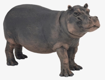 Hippopotamus Png Image - Papo Hippopotamus Toy, Transparent Png, Transparent PNG