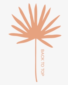 Illustration, HD Png Download, Transparent PNG