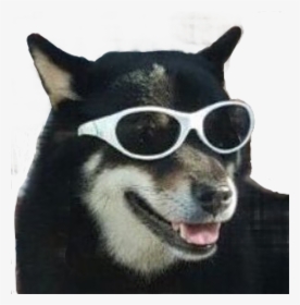 #dog #meme #funny #puppy #sunglasses #freetoedit - Dog Meme Png, Transparent Png, Transparent PNG