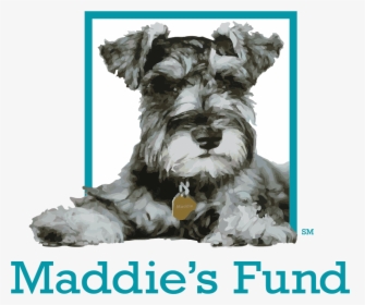 Maddie S Fund Logo - Maddies Fund, HD Png Download, Transparent PNG