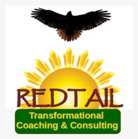 Jim Redtail - Red Tailed Hawk Silhouette, HD Png Download, Transparent PNG