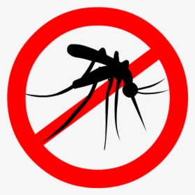 Mosquito Warning Without Background Photoshop, HD Png Download, Transparent PNG