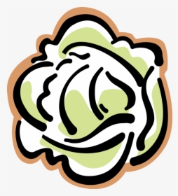 Vector Illustration Of Leaf Vegetable Head Of Lettuce - Fruit And Vegetables Esl, HD Png Download, Transparent PNG