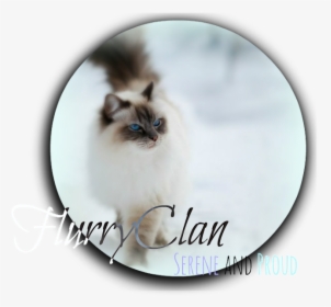 Transformice Flurryclan - Lakan At Lakambini, HD Png Download, Transparent PNG