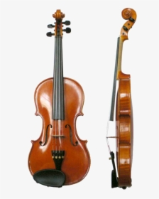 Violin Vl100 - Anatomy Of The Viola, HD Png Download, Transparent PNG