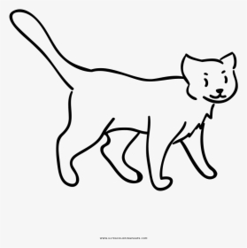 Cat Walking Coloring Page - Line Art, HD Png Download, Transparent PNG