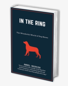 In The Ring - Stallion, HD Png Download, Transparent PNG