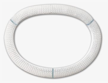 Physio Ii Annuloplasty Ring - Physio Ii Ring 5200, HD Png Download, Transparent PNG