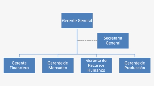 Organigrama De Gerencia - Organigrama De Un Gerente General, HD Png Download, Transparent PNG
