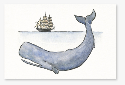 Moby Dick Post-card - Humpback Whale, HD Png Download, Transparent PNG