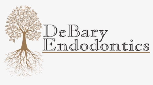 Debary Endodontics - Calligraphy, HD Png Download, Transparent PNG