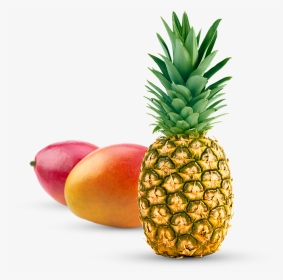 Pineapple In Different Languages, HD Png Download, Transparent PNG