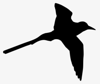 Tropical Bird Shape Of Long Tail - Tropical Bird Icon, HD Png Download, Transparent PNG