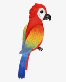 #parrot ##summer #tropical #tropicalstickers #tropicalbirds - Macaw, HD Png Download, Transparent PNG