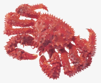 Crab Png - Fruto Do Mar Em Png, Transparent Png, Transparent PNG